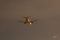 Boeing 737-55S